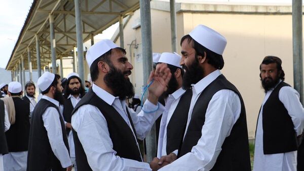 طالبان 48 زندانی دولت افغانستان را آزاد کرد - اسپوتنیک افغانستان  