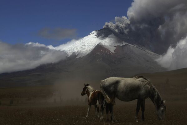 آتشفشان اکوادور کوتوپاکسی - اسپوتنیک افغانستان  