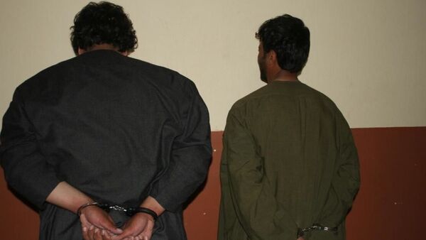 دستگیری دو تن از عاملان ترورهای هدفمند در هرات  - اسپوتنیک افغانستان  