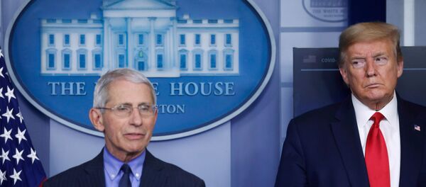 کاخ سفید مانع شهادت دهی مشاور کرونایی ترامپ به کنگره شد کاخ سفید مانع شهادت دهی مشاور کرونایی ترامپ به کنگره شد - اسپوتنیک افغانستان