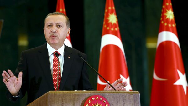 رجب طیب ایردوغان رئیس جمهور ترکیه - اسپوتنیک افغانستان  