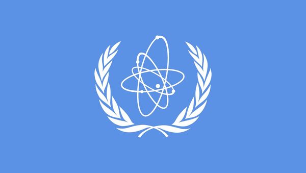 آژانس بین المللی انرژی اتمی - اسپوتنیک افغانستان  