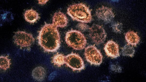 دانشمندان از شباهت ویروس کرونا با سرطان نام بردند - اسپوتنیک افغانستان  