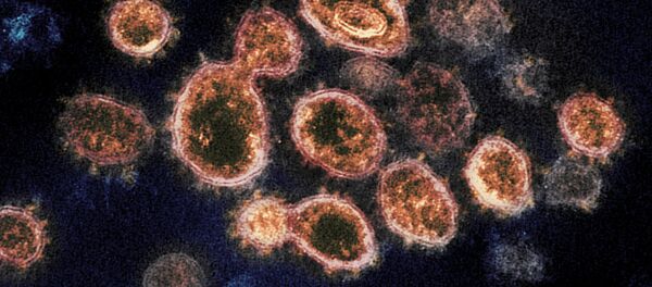 دانشمندان از شباهت ویروس کرونا با سرطان نام بردند - اسپوتنیک افغانستان  