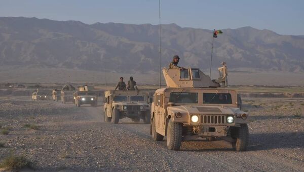 کشته و زخمی شدن ۱۱ جنگجوی طالبان در ولسوالی شهرک ولایت غور - اسپوتنیک افغانستان  
