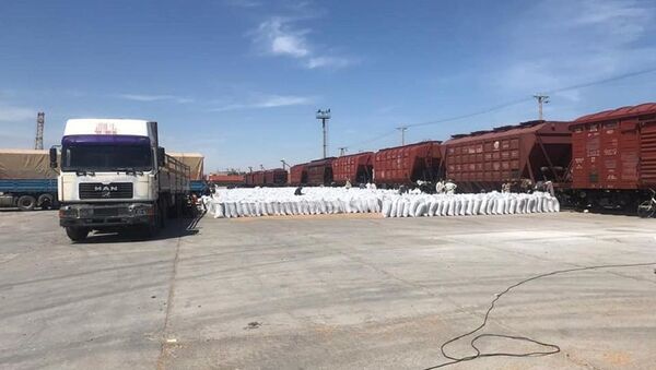 در یک ماه اخیر بیش از 300 هزار تُن کالا از طریق راه آهن وارد افغانستان شده است - اسپوتنیک افغانستان  