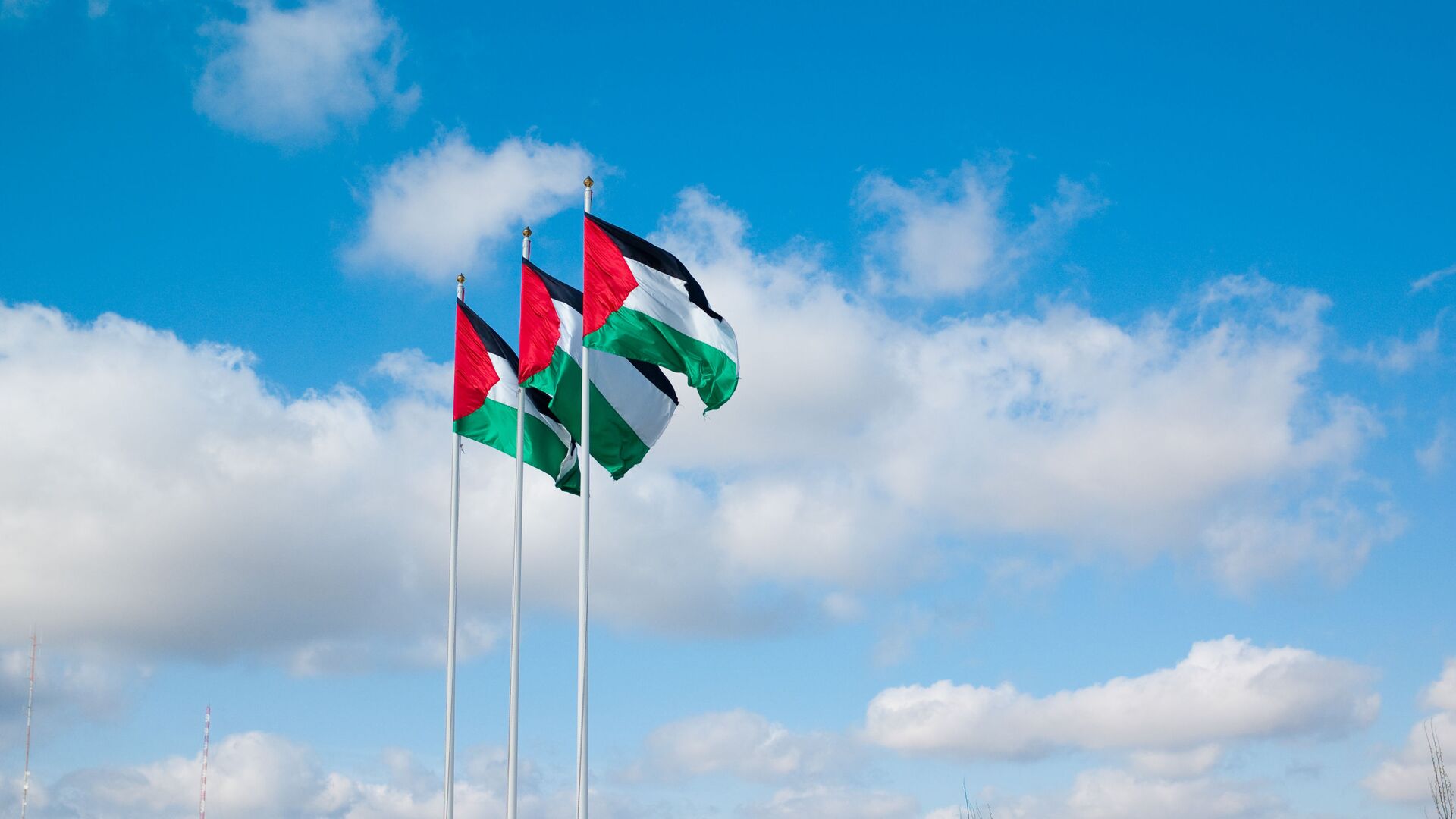 Флаги Палестины - اسپوتنیک افغانستان  , 1920, 03.07.2022