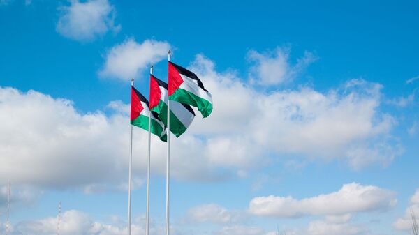 Флаги Палестины - اسپوتنیک افغانستان  