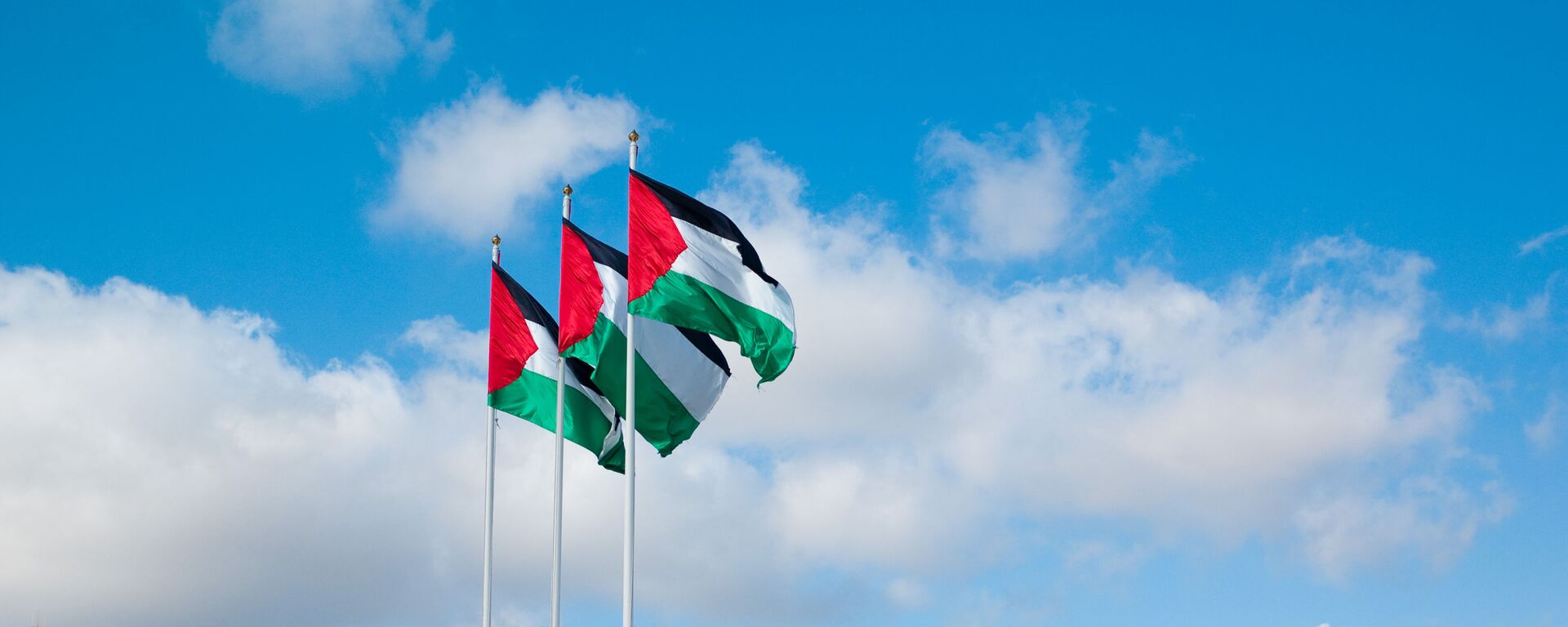 Флаги Палестины - اسپوتنیک افغانستان  , 1920, 05.02.2022