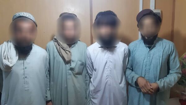 دستگیری یک گروه ماین گذار در خوست - اسپوتنیک افغانستان  