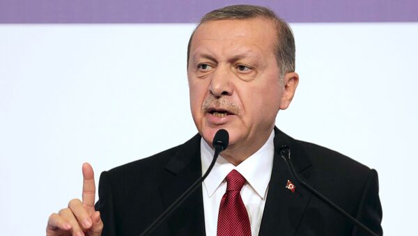 رجب اردوغان  رئیس جمهور ترکیه - اسپوتنیک افغانستان  