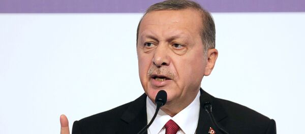 اردوغان اردوغان - اسپوتنیک افغانستان