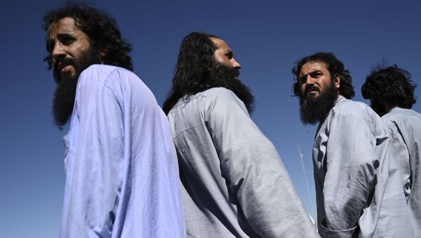 طالبان 14 زندانی حکومت را رها کردند - اسپوتنیک افغانستان  