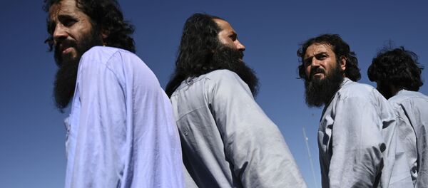 واکنش طالبان به گزارش شورای امنیت در مورد تلفات ارتش - اسپوتنیک افغانستان  