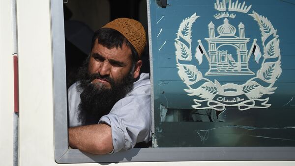 چه چیزی مانع تاخیر رهایی 400 زندانی طالب و آغاز مذاکرات بین‌الافغانی است؟  - اسپوتنیک افغانستان  