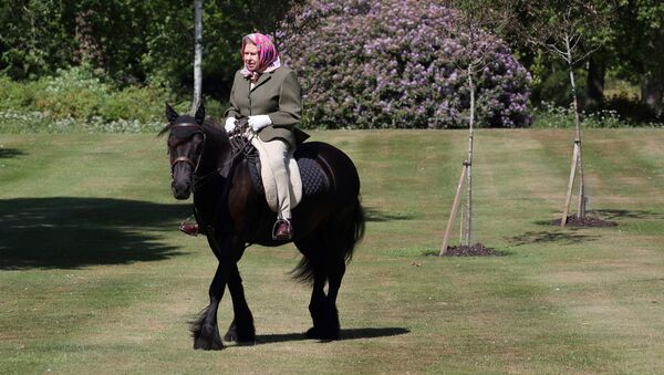  ملکه الیزابت دوم سوار بر اسب در هنگام قرنطینه  - اسپوتنیک افغانستان  