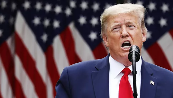 Президент США Дональд Трамп во время брифинга в розовом саду возле Белого дома