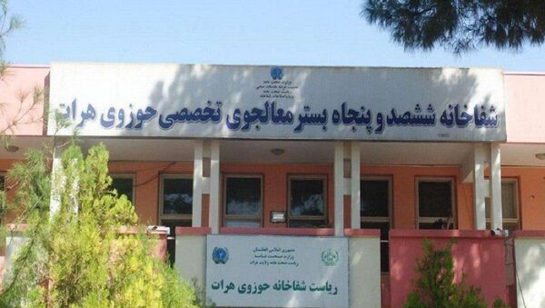 کرونا در هرات؛ ابتلای 60 درصد کارمندان صحی شفاخانۀ حوزه‌یی  - اسپوتنیک افغانستان  