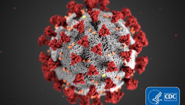 کشف خاصیت غیر منتظره ویروس کرونا  - اسپوتنیک افغانستان  