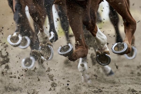 مسابقه اسب سواری - اسپوتنیک افغانستان  