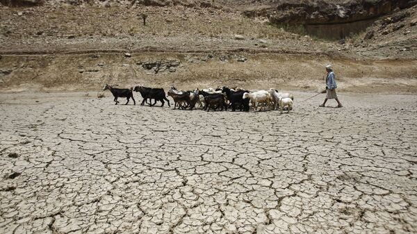 ۳۵ درصد بارش کمتر؛ خطر قحطی در کمین افغانستان - اسپوتنیک افغانستان  