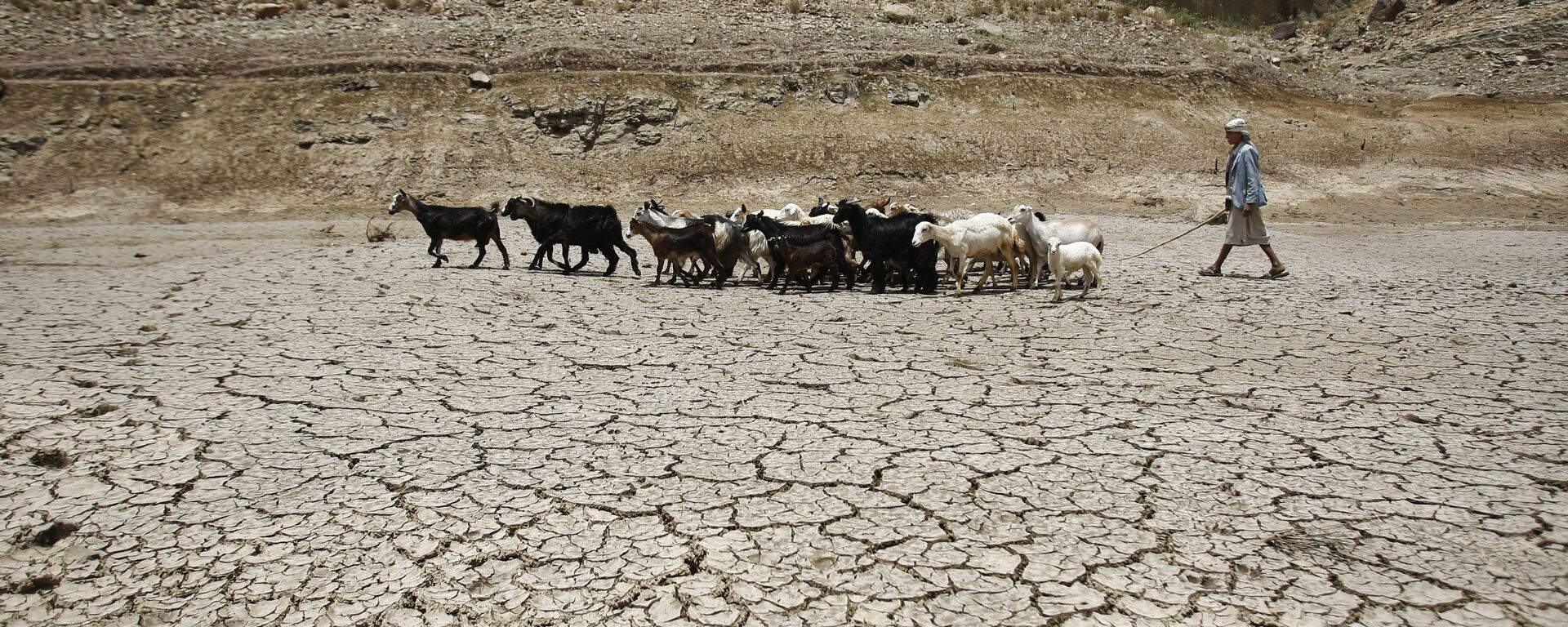 خشکسالی خطرناک تمام بشریت را تهدید می کند - اسپوتنیک افغانستان  , 1920, 04.11.2021