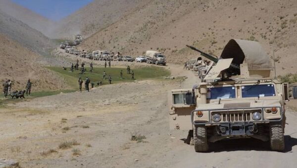 ضیاء: نیروهای امنیتی ولسوالی ارغنداب را از طالبان پس گرفتند - اسپوتنیک افغانستان  