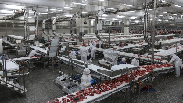 В цехе мясоперерабатывающего предприятия АПХ Мираторг в Брянской области - اسپوتنیک افغانستان  