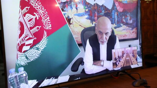 رئیس جمهور غنی با رئیس و هیات اداری مشرانو جرگه دیدار کرد - اسپوتنیک افغانستان  