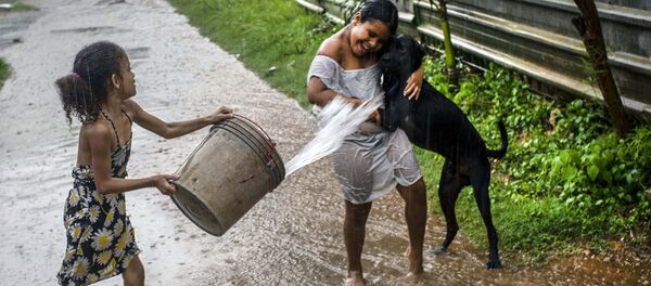  سگ در رشد کودکان کمک می نماید - اسپوتنیک افغانستان  