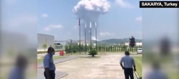 انفجار در کارخانه ابزار آتشبازی در ترکیه+ویدیو انفجار در کارخانه ابزار آتشبازی در ترکیه+ویدیو - اسپوتنیک افغانستان