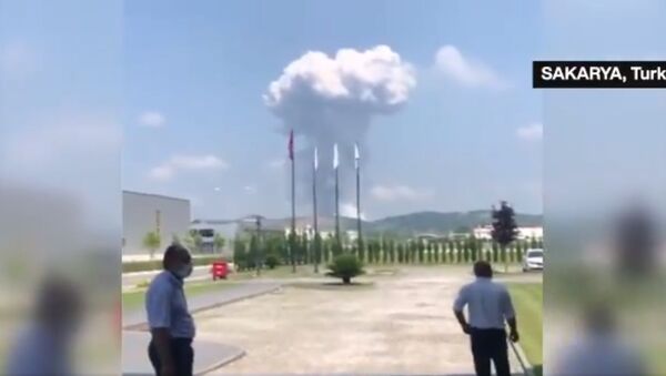 انفجار در کارخانه ابزار آتش‌بازی در ترکیه+ویدیو - اسپوتنیک افغانستان  