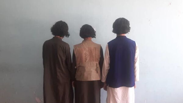 دستگیری سه جنگجوی طالبان در بغلان - اسپوتنیک افغانستان  