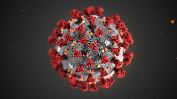 حجم ذرات ویروس کرونا در جهان محاسبه شد - اسپوتنیک افغانستان  