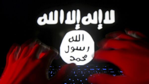 A man types on a keyboard in front of a computer screen on which an Islamic State flag is displayed, in this picture illustration taken in Zenica, Bosnia and Herzegovina, February 6, 2016 - اسپوتنیک افغانستان  