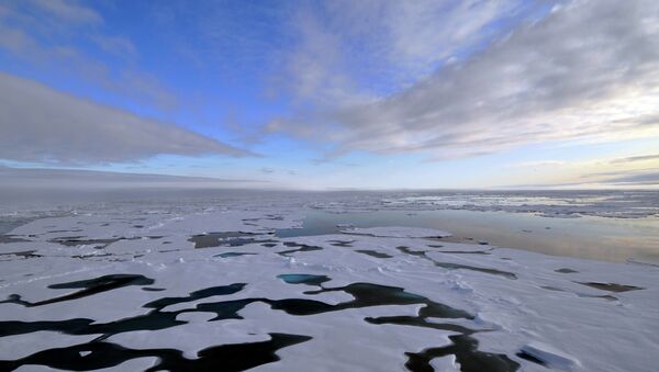 یخ ها در قطب شمال پیوسته حتی در زمستان کاهش می یباند - اسپوتنیک افغانستان  