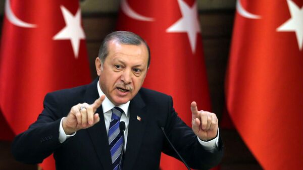 Президент Турции Реджеп Эрдоган в Анкаре - اسپوتنیک افغانستان  