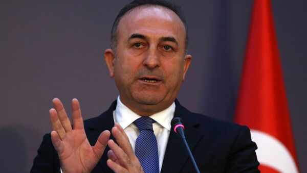 وزیر خارجه ترکیه از آغاز جنگ‌های مقدس در اروپا هشدار داد - اسپوتنیک افغانستان  