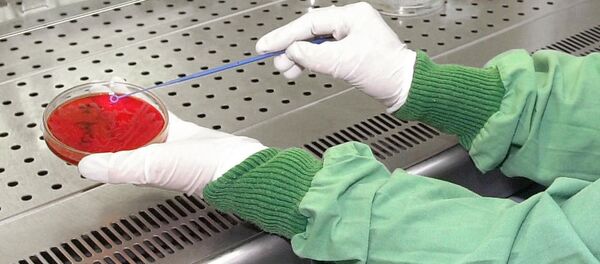 شیوع یک باکتری مقاوم و فوق العاده خطرناک در امریکا - اسپوتنیک افغانستان  