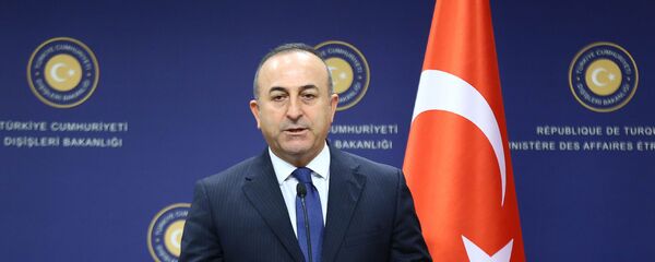 ترکیه: در صورت پیروزی بشار اسد در انتخابات با او همکاری می کنیم - اسپوتنیک افغانستان  