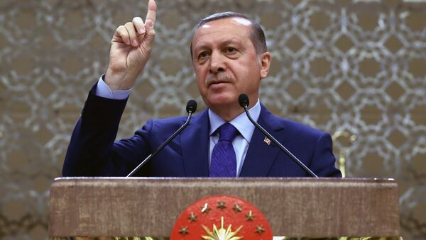 اردوغان اسرائیل را حکومت تروریستی نامید - اسپوتنیک افغانستان  