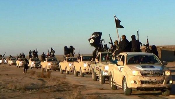 تهدید شکل گیری دوباره داعش در سوریه - اسپوتنیک افغانستان  