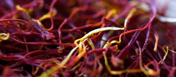 زعفران - اسپوتنیک افغانستان  