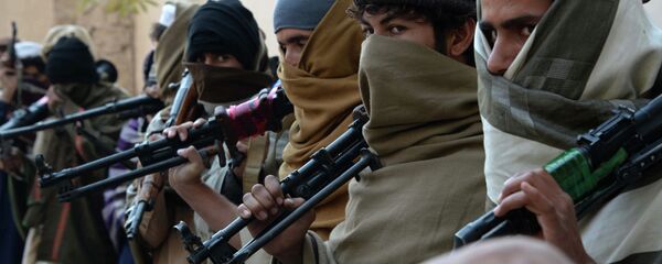 یک گروه طالبان در بادغیس به حکومت تسلیم شد  یک گروه طالبان در بادغیس به حکومت تسلیم شد - اسپوتنیک افغانستان