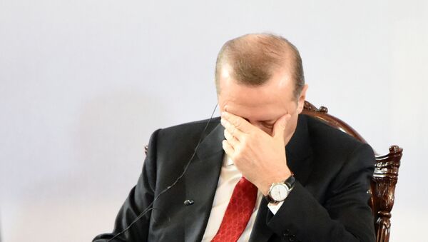 چرا اردوغان از پوتین معذرت خواست - اسپوتنیک افغانستان  