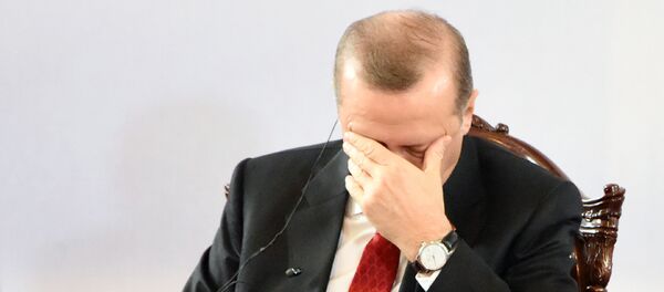 چرا اردوغان از پوتین معذرت خواست - اسپوتنیک افغانستان  