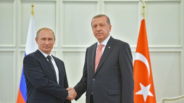 پوتین و اردوغان طرح های بزرگ انرژی را مورد بحث قرار دادند - اسپوتنیک افغانستان  