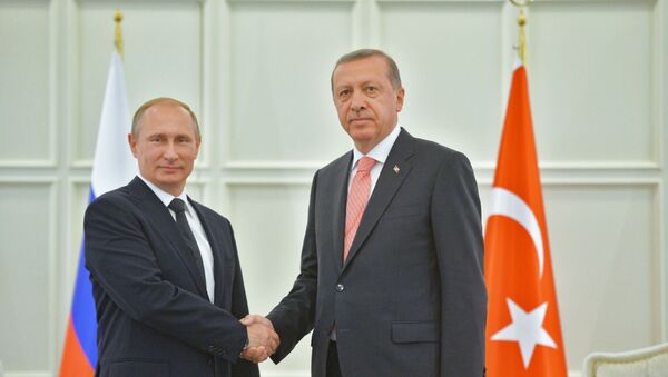 پوتین و اردوغان طرح های بزرگ انرژی را مورد بحث قرار دادند - اسپوتنیک افغانستان  