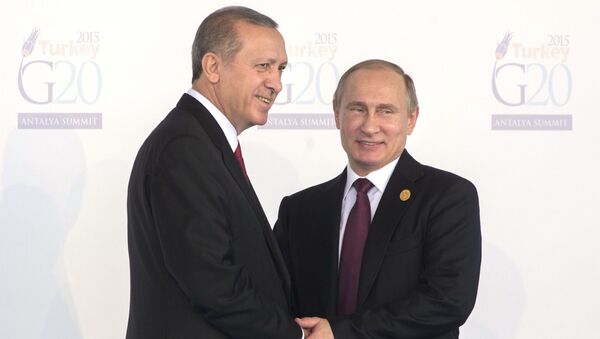 پوتین با سلاحی کارآمدتر از سلاح هسته ای در مقابل اردوغان- گفتگو با عبدالکریم فیروزکلایی - اسپوتنیک افغانستان  