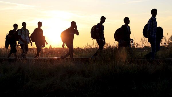 مهاجران در حال عبور از مرز مجارستان و صربستان - اسپوتنیک افغانستان  